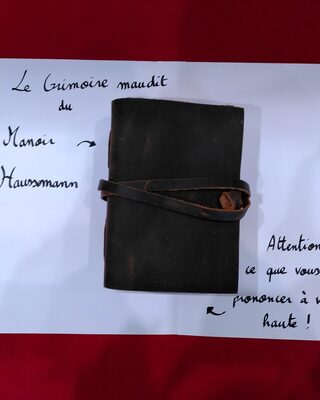 Le grimoire maudit du Manoir Haussmann, posé sur la table du stand.